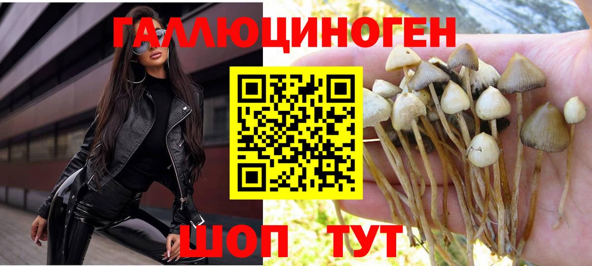 Жигулёвск  Псилоцибиновые грибы мухоморы  Вход с VPN  Галлюциногенные грибы мицелий 